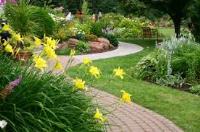 Tapia Landscaping image 1